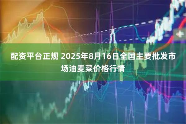 配资平台正规 2025年8月16日全国主要批发市场油麦菜价格行情